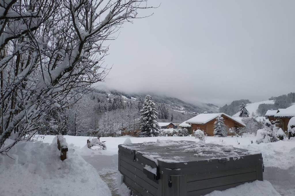 A4 Km De Megeve Tres Joli Studio Avec Jacuzzi ,Vue Sur Les Montagnes Au Calme Praz-sur-Arly Exteriér fotografie