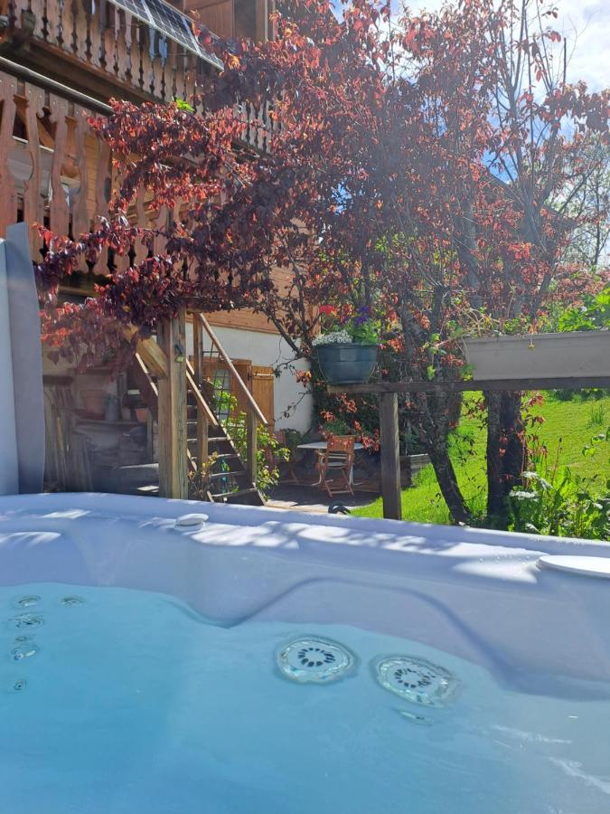 A4 Km De Megeve Tres Joli Studio Avec Jacuzzi ,Vue Sur Les Montagnes Au Calme Praz-sur-Arly Exteriér fotografie